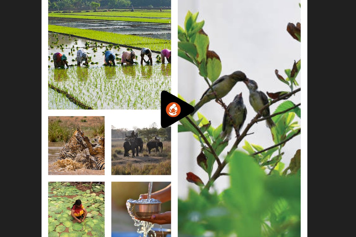 Eco-Stewardship